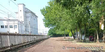 Borgo Loreto, nuova area ortiva grazie ai Rotary di Cremona - CremonaOggi