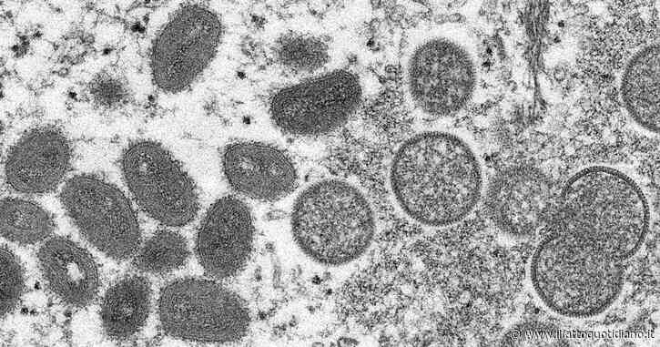 Vaiolo delle scimmie, altri due casi sospetti in Italia. In Francia vaccinate due persone considerate contatti stretti