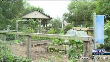 Weekend Gardener: Visiting Master Gardener 'Demonstration Idea Gardens' - KBTX