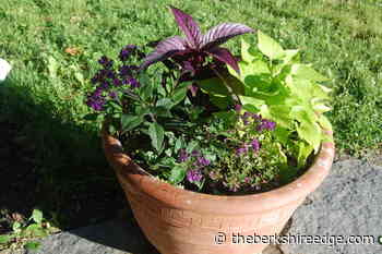 GARDENER'S CHECKLIST: Week of May 26, 2022 - theberkshireedge.com