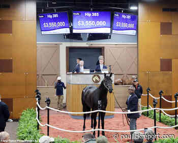 Records Fall, Bernardini Colt Stars At Fasig-Tipton Midlantic 2-Year-Olds In Training Sale - Horse Racing News - Paulick Report