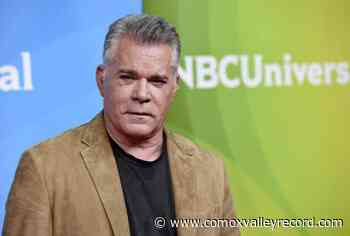 Ray Liotta, ‘Goodfellas’ and ‘Field of Dreams’ star, dies - Comox Valley Record
