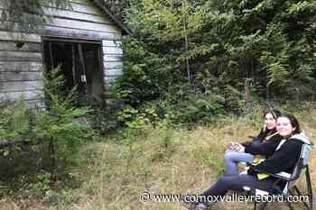 Annual bat count seeks roosts and volunteers – Comox Valley Record - Comox Valley Record