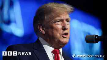 Mass shootings a reason to arm, not disarm - Trump