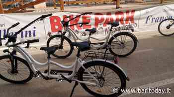 Ritrovate le bici per bimbi disabili rubate alla scuola di ciclismo 'Franco Ballerini': recuperate dopo gli appelli sui social - BariToday