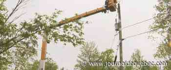 Plus de 2 000 travailleurs d’Hydro toujours sur le terrain pour rebrancher le Québec