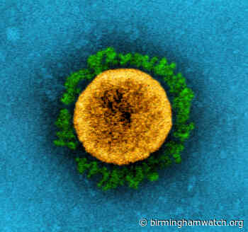 Déjà Vu: Two Years Later, and Coronavirus Case Levels Are Virtually the Same - BirminghamWatch