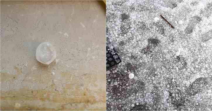 Maltempo, l’allarme della Coldiretti: “Sos grandine nelle campagne. Rischia di rovinare le coltivazioni di frutta e cereali”