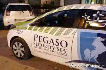 Sorpreso in una segheria dagli agenti della Pegaso Security, identificato - TraniViva