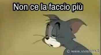 Provincia di Enna. Sindaci stanchi o depressi? (parte sesta) - Vivi Enna