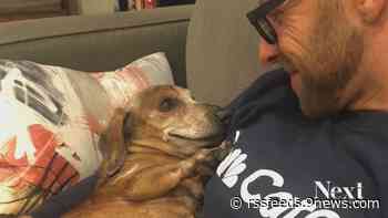 A goodbye after 17 years