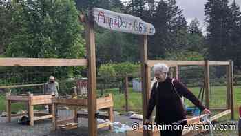Local non-profit sprouts accessible community garden - Nanaimo News NOW
