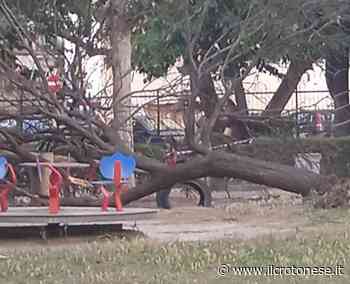 Crotone, albero cade sui giochi per i bambini nel parco delle Rose - Il Crotonese