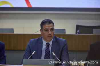 Pedro Sánchez, qué lindo gatito - El Independiente