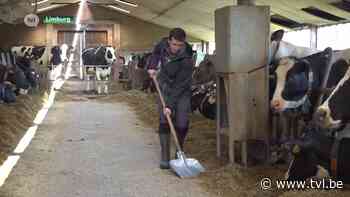 12 landbouwbedrijven in Limburg moeten dicht, maar duizenden andere families ook betrokken - TV Limburg