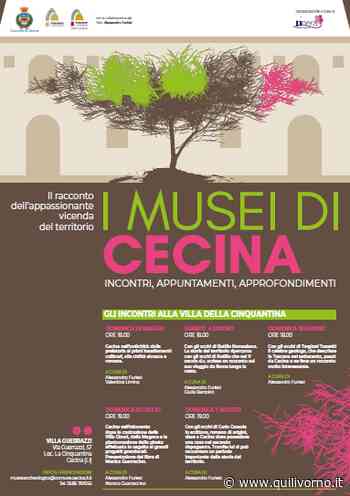 I Musei di Cecina: dalla storia al territorio - QuiLivorno.it