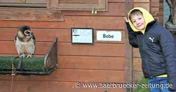 14 tolle Orte für Kinder im Landkreis Neunkirchen entdecken - Saarbrücker Zeitung