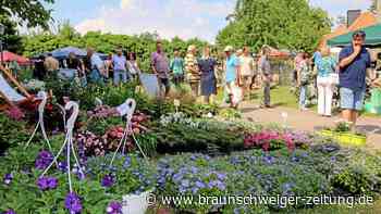 Himmelfahrt: Ausflugs- und Veranstaltungstipps im Kreis Helmstedt - Braunschweiger Zeitung