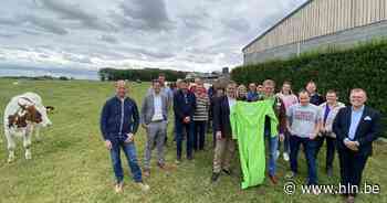 Landbouwers en gemeentebestuur in verzet tegen stikstofakkoord | Anzegem | hln.be - Het Laatste Nieuws