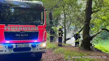 Varel: Nach Brand im Vareler Stadtwald sucht Polizei Zeugen - Nordwest-Zeitung