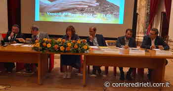 Rieti, elezioni comunali. Digitalizzazione e spopolamento, i tre candidati sindaco a confronto - Corriere di Rieti