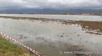 Rieti, Piana reatina allagata: esposto su eventuali responsabilità - ilmessaggero.it