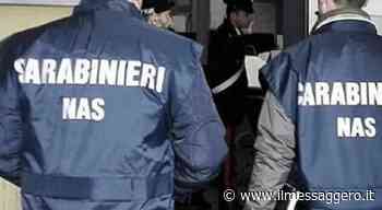 Rieti, Nas dei carabinieri: chiuso un ristorante cinese per carenze igienico sanitarie - ilmessaggero.it