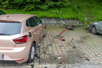 Fahrfehler löst Feuerwehr-Einsatz in Reichenbach aus: E-Auto rollt Hang hinunter - freiepresse.de