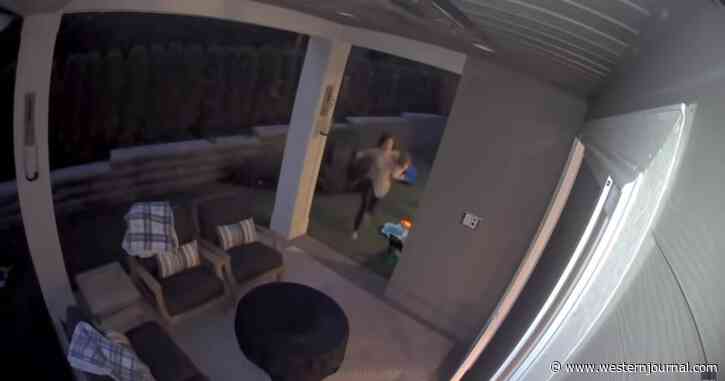 Video: Mother Snaps Into Action When She Sees Her Toddler Running Toward a Black Bear