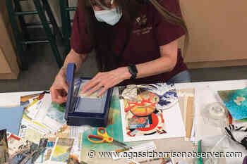 Chilliwack Cultural Centre announces lineup of summer arts classes – Agassiz Harrison Observer - Agassiz Harrison Observer