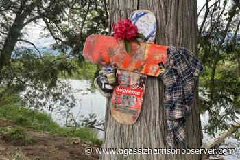 17-year-old Chilliwack boy killed in single-vehicle crash late Sunday night – Agassiz Harrison Observer - Agassiz Harrison Observer