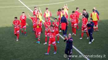 Jesina, scacco matto in due mosse. Batte il Fossombrone e va in finale - AnconaToday