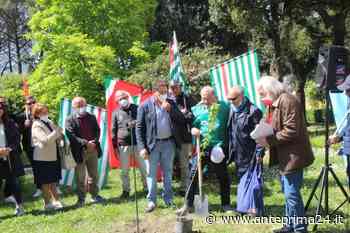 Il primo maggio a Benevento: un mandorlo in Villa come simbolo di pace e di speranza - anteprima24.it