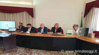 Nuovo sistema di pubblica illuminazione a Brindisi - Brindisi Oggi, news Brindisi notizie Brindisi e provincia - BrindisiOggi