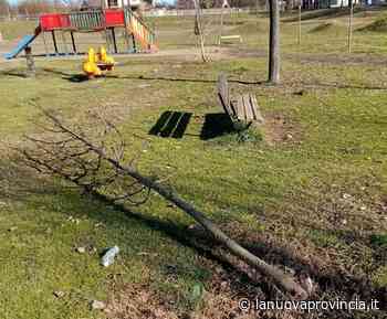 Canelli, ancora vandalismo al parco Boncore - La Nuova Provincia - Asti