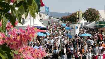 Maimarkt Mannheim zieht Zwischenbilanz - SWR