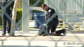 14-year-old boy detained after BB gun shooting in northwest Fresno neighborhood