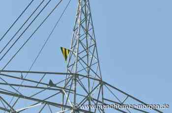 Ministerium: Kein Kabel unter der Erde - Mannheimer Morgen