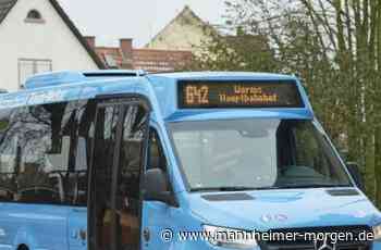 Ein Museum für Hofheim? - Lampertheim - Nachrichten und Informationen - Mannheimer Morgen