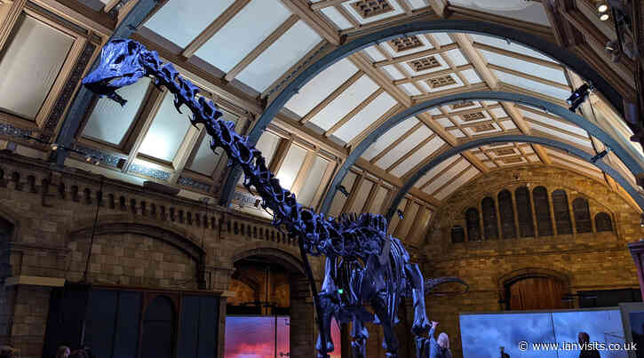 Dippy the dinosaur returns to the Natural History Museum