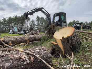 Ottawa's power grid rebuilt in days, but some recovery will take years - Ottawa Citizen