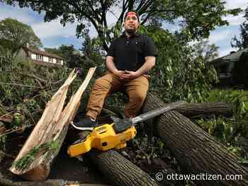 Ottawa storm 2022: Alta Vista contractor pitches in with cleanup - Ottawa Citizen