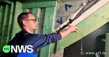 Gezin uit Lubbeek start noodgedwongen geldinzameling nadat dakwerker verdwijnt - VRT NWS