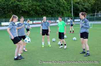 SV Hegnach, VfL Sindelfingen, TSV Tettnang: Frauenfußball-Fest am Vatertag - Stuttgarter Nachrichten
