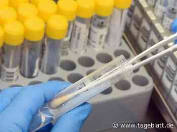 Landkreis Stade hat die geringste Corona-Inzidenz in der Region - Landkreis Stade - Tageblatt-online