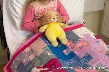 Project Linus delivering comfort one blanket at a time – Red Deer Advocate - Red Deer Advocate