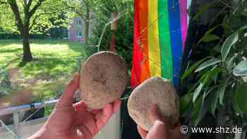 Regenbogenflagge als Ursache?: Ahrensburg: Unbekannte schmeißen Fensterscheibe mit dicken Steinen ein | shz.de - shz.de