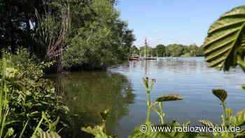 Schwanenteich: Rollstuhlfahrer mit Steinen beworfen - Radio Zwickau