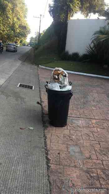 Siguen en Coatepec sin recolección de basura - El Demócrata