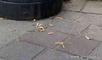 Saronno, linea dura contro i fumatori “distratti” - La Prealpina